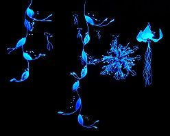 Schwarzlicht-Installation  Nachtblüten