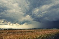 Die Gluthitze wird langsam verdrängt. Gewitter und heftige Schauer sind möglich. Quelle: WetterOnline
