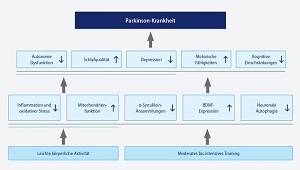 Auf welchen pathophysiologischen Mechanismen beruht die präventive Wirkung von Sport?  Modifiziert nach: Fan B et al What and How Can Physical Activity Preventio
