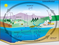 Der Kohlenstoffkreislauf ist ein hochsensibles System. Geringe Veränderungen können das Klima nachhaltig beeinflussen.  Max-Planck-Institut Jena  public domain