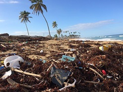 Plastik im Meer und in der übrigen Umwelt: Das Problem der Vermüllung drängt zum Handeln. Foto: Dustan Woodhouse via unsplash