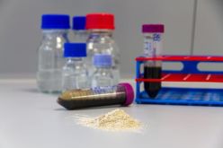 Aus nährstoffreichen Reststoffen wie Abwasser, Gülle und Gärresten kann Phosphor in Form von Phosphatsalzen zurückgewonnen werden. Copyright: Fraunhofer IGB