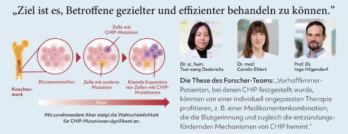 Darstelleung des Prozesses der klonalen Hämatopoese mit unbestimmtem Potenzial (CHIP). Ältere Menschen sind naturgemäß häufiger betroffen. Copyright: Deutsche Herzstiftung