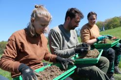 Für das Modul „Experimentelle Landnutzungsökologie“ haben die Studierenden eine Woche lang jeden Tag in der Natur verbracht und beispielsweise Regenwürmer gezählt.  Quelle: Sandra Pösentrup  Copyright: FH Südwestfalen