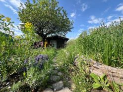 In Deutschland gibt es rund 17 Millionen Gärten, die von etwa 36 Millionen Menschen genutzt werden. GartenDiv hofft auf neue Einblicke in ihre Biodiversität. Quelle: Dr. Ingmar Staude Copyright: Universität Leipzig
