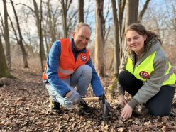 Mikroplastik im Waldboden: Forschung am Krappenberg