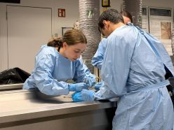 Mit Skalpell und Stethoskop gegen die Stoppuhr - PEC 2026: Wettkampf um die schnellste Diagnose und beste Therapie