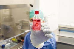 Augenhornhauttransplantat in der Gewebebank  DGFG