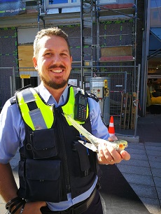 Polizeihauptkommissar Björn Jaskulski rettet Nymphensittich.