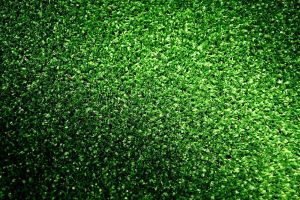 Rollrasen Symbolbild pixabay
