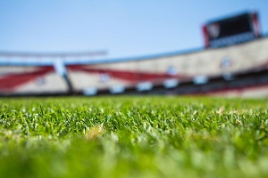 Rasen im Fussballstadion Symbolbild pexels