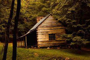 Holz statt Stein Symbolbild pixabay
