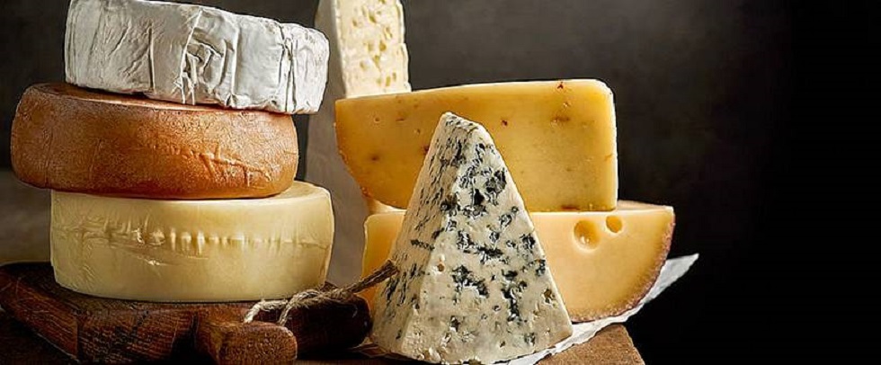 Alles Käse? Alles Käse! Ein Streifzug durch die Welt des Milchprodukts mit Geschichte