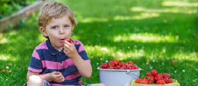 Kleiner Geniesser erwischt beim Naschen der süssen Frucht