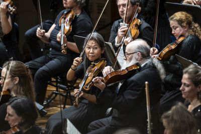 Streichersektion des Orchesters