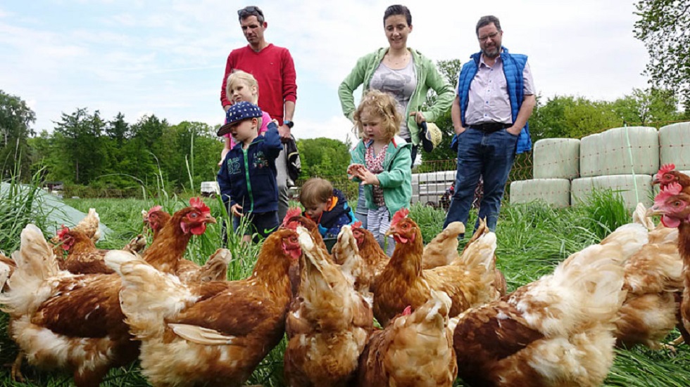 Dem Huhn aufs Ei geschaut