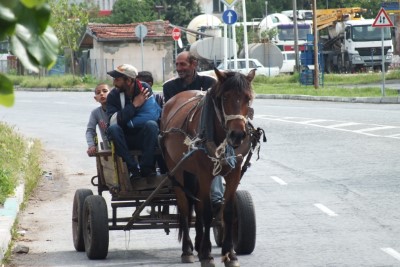 Mit Ross und Wagen umweltfreundlich unterwegs