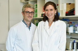 Prof. Dr. Tobias Bäuerle und Prof. Dr. Aline Bozec wollen verstehen, warum Tumorzellen im Knochenmark „Winterschlaf“ halten.  Foto: Franziska Männel/Uni-Klinikum Erlangen