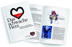 Der kostenfreie Experten-Ratgeber 