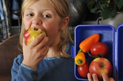 Ein gesundes Frühstück gehört zur ausgewogenen Ernährung. Das Kompetenzcluster „nutriCARD“ stellt sich auf der „didacta“ 2019 in Köln vor.  Symbolbild: Anne Günther/FSU