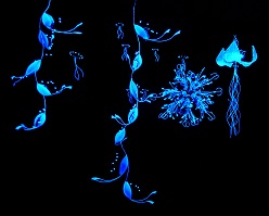 Schwarzlicht-Installation  Nachtblüten