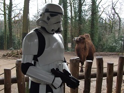 Star Wars-Tag im Dortmunder Zoo Kamel