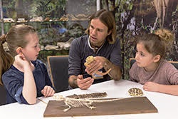 Wissenswertes über Eidechsen kann man zum Beispiel im Fossilium des Tierparks Bochum erfahren.   
