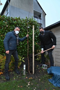 Oberbürgermeister Thomas Eiskirch pflanzt ersten Obstbaum aus der Aktion „Pflanz einen Baum - ein Engagement das Früchte trägt!“
