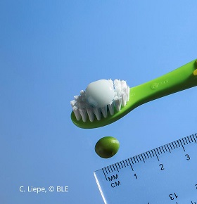 Dosierung Zahnpasta Erbsengroß  C.Liepe  BLE