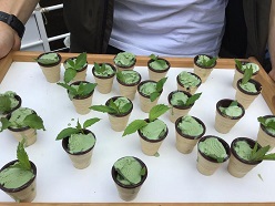 Eis aus Spirulina-Algen für die Gäste der Saaleexpedition an Bord des Bürgerforschungsschiffes Make Science Halle  © science2public