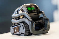 Die kleinen Vector-Roboter sind mit Sensoren und Kameras ausgestattet, anhand derer sie sich orientieren können. Mit der Kamera erkennen sie Hinweisschilder, die Auskunft darüber geben, was sie gerade sehen.  Felix Hüffelmann  FH Bielefeld