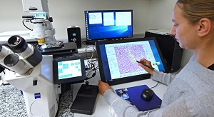 Den Forschungsteams am Universitätsklinikum Jena steht ein neu implementiertes Laser-Mikrodissektions-System zur zellgenauen Gewebeauswahl für genomische, proteomische und metabolomische Analysen zur Verfügung.  Michael Szabó  Universitätsklinikum Jena