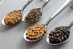 Verschiedene Hülsenfrüchte  Katarina Lönnström  Universität Helsinki