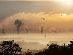 DBFZ-Experten sehen keine energiewirtschaftlichen Vorteile für eine Umrüstung von Kohlekraftwerken auf Biomasse  © Photo-Rabe / Pixabay