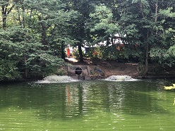 Teichbelüfter RRB Jasminweg