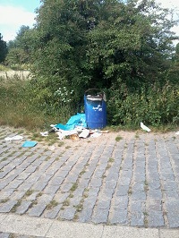 Müll Binsheimer Feld