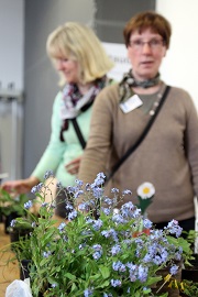 Pflanzentauschmarkt der VHS