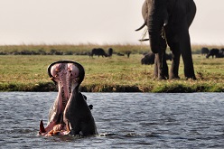 Botswana
