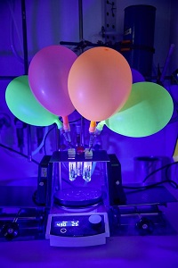 „Anfangs nahmen wir einfach Luftballons, bliesen sie im Labor auf und stülpten sie über die Apparatur.“ – Experiment mit Gaseintrag ins Reaktionsgefäß. (Nordlicht/LIKAT)  Nordlicht/LIKAT