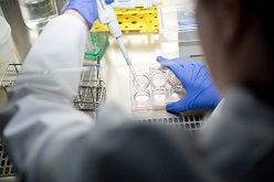In den Forschungslabors des Uniklinikums Würzburg wird unter anderem daran gearbeitet, das Anwendungsspektrum von CAR-T-Zellen zukünftig auf möglichst jede Krebsart auszuweiten.  Bild: Daniel Peter / Uniklinikum Würzburg