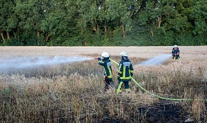 Brennendes Feld in Bochum Bergen Foto Feuerwehr Bochum