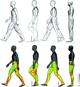 Das Computermodell zeigt, wie sich eine Stoffhose beim Gehen bewegt (oben). Die Farbe zeigt die Dicke der Luftschicht zwischen Körper und Hose an (unten).  Bild: Empa