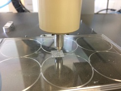 Präzisionsarbeit: 3D-Drucken von Strukturen für die Gewebezüchtung.  Bild: FAU/Dr. Rainer Detsch