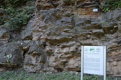 Geologischer Garten, Wiemelhausen - 03 Juli 2012