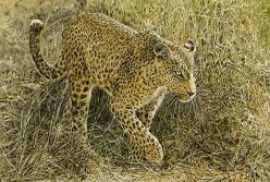 Leopard, Mixed Media, 89 x 61 cm