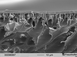 Membranmorphologie mit extrem dünner Schaumschicht, aber zugleich sehr hohem Materialtransport  © Fraunhofer IAP