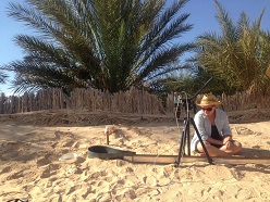 Rennstrecke für Silberameisen in der Wüste  Foto: Dr. Sarah Pfeffer / Uni Ulm