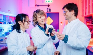 DNA-„Schmuggel“ nachgewiesen: Dr. Yanbo Mao, Professorin Rita Groß-Hardt und Dr. Thomas Nakel von der Universität Bremen.  Jonas Ginter / InnoWi
