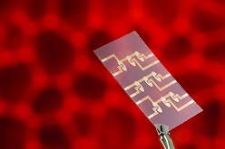 Multi-Elektrodenlayout zur parallelen Untersuchung mehrerer Zellproben in Mikrofluidik-Chips. Fraunhofer EMFT, Foto: Bernd Müller.
