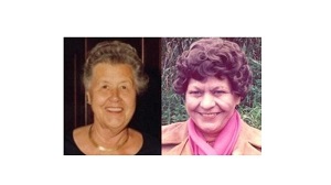  Website der Waldtraut und Sieglinde Hildebrandt-Stiftung im Rahmen der Webpräsenz des Deutschen Stiftunsgzentrums im Stifterverband